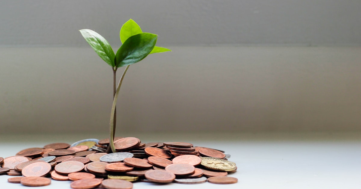 Plant growing from a pile of coins, wealth compounding over time